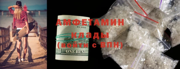 крисы Абаза