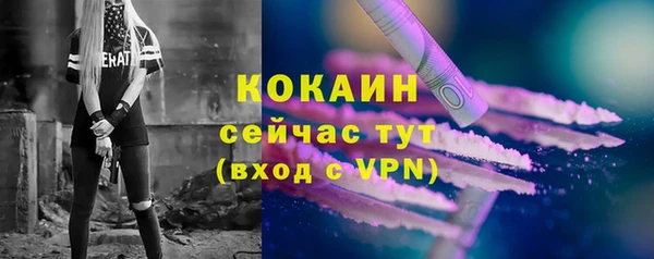 крисы Абаза