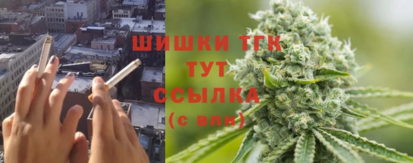 крисы Абаза